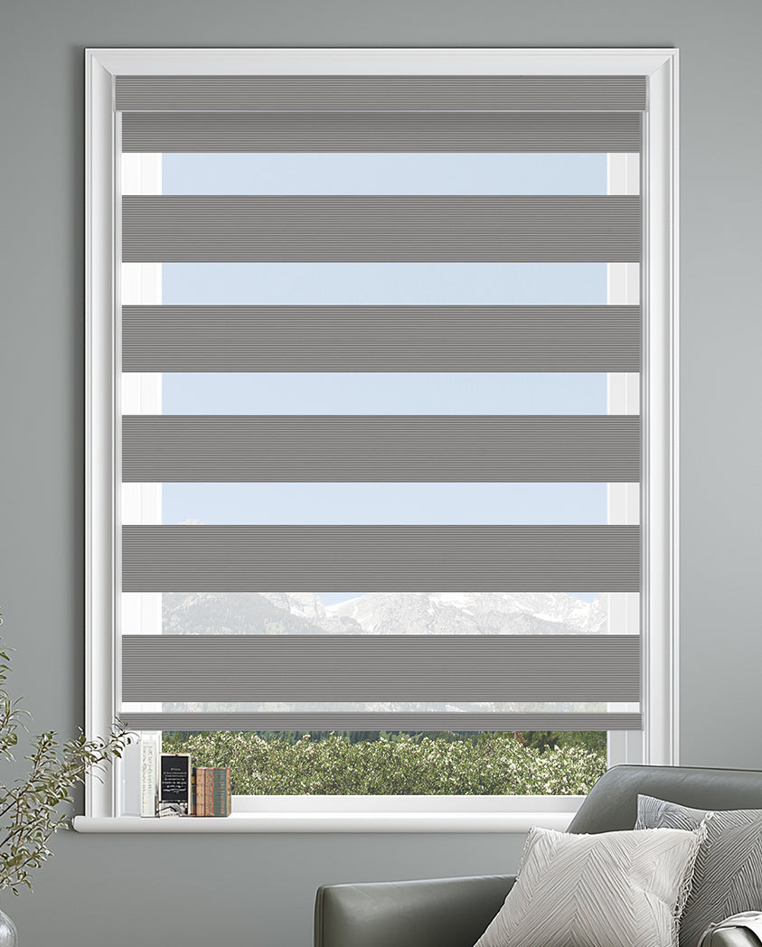 Errol Harbor Light Filtering Zebra Shade