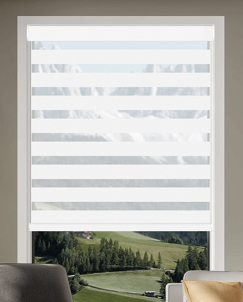 Miro Snow Light Filtering Zebra Shade