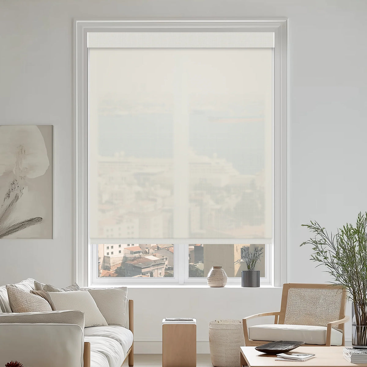Solar Shades