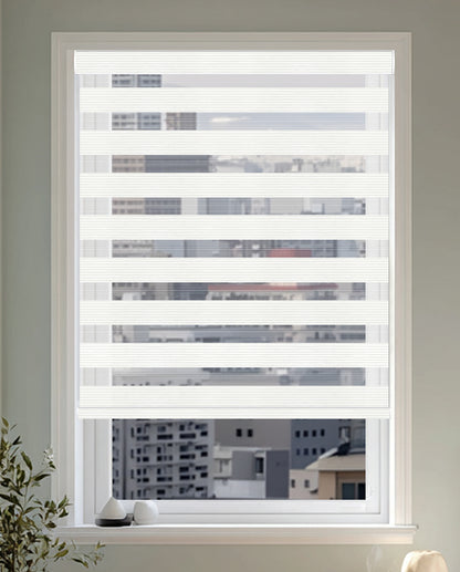 Aspen Snow Light Filtering Zebra Shade