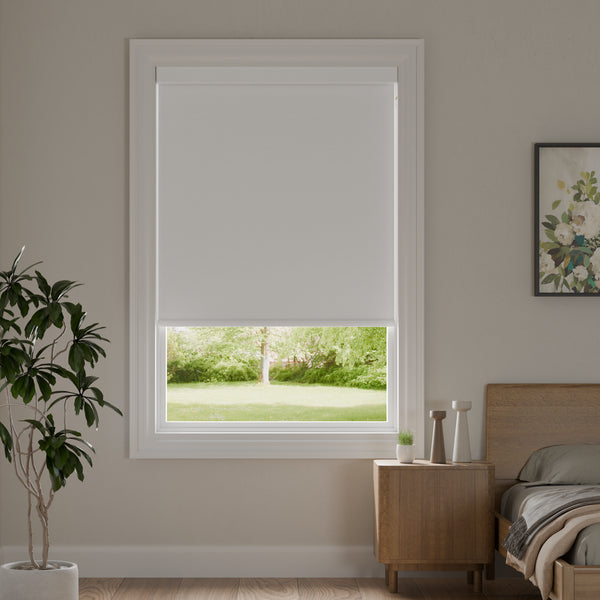 Ozon Silver Blackout Roller Shades