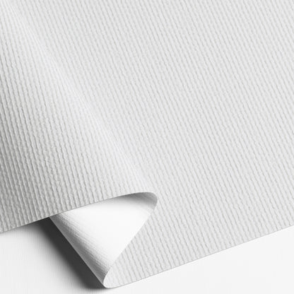 Ozon Silver Blackout Roller Shades