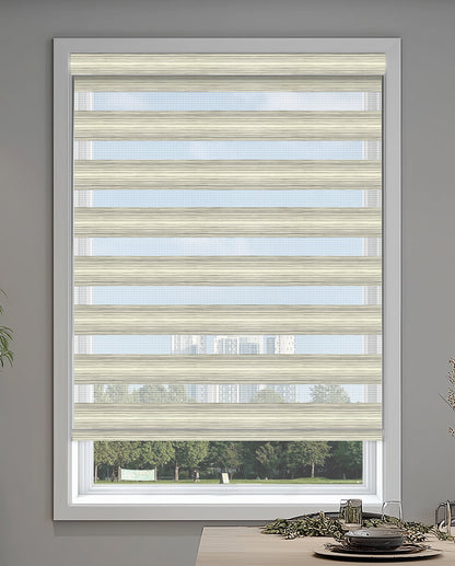 Curacao Beige Gray Light Filtering Zebra Shade