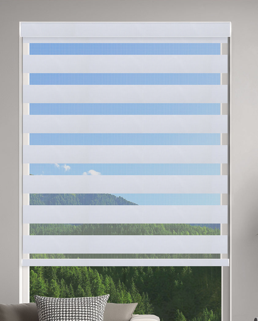Duran Ice Blackout Zebra Shade