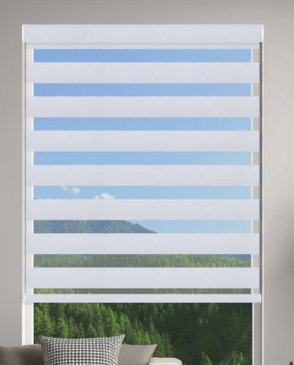 Duran Ice Blackout Zebra Shade