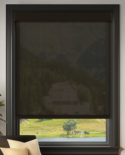 Riker Brown 3% Openness Flame Retardant Sheer Solar Shades