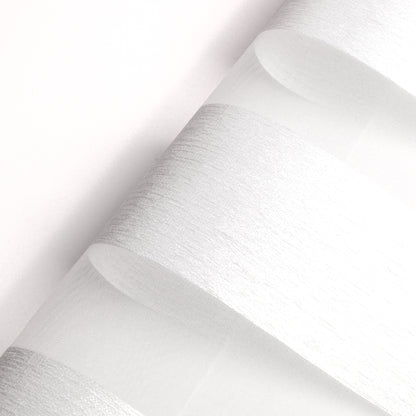Miro Snow Light Filtering Zebra Shade