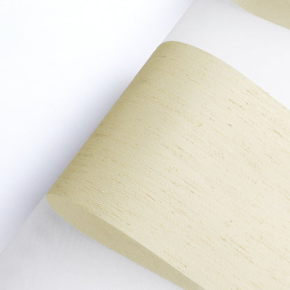 Taplow Linen Natural Light Filtering Zebra Shade