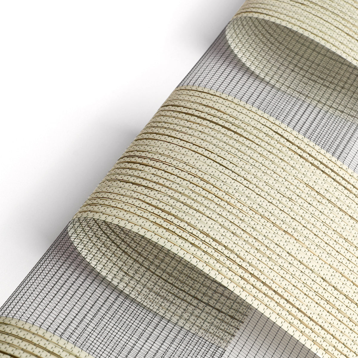 Pollux Champagne Light Filtering Zebra Shade