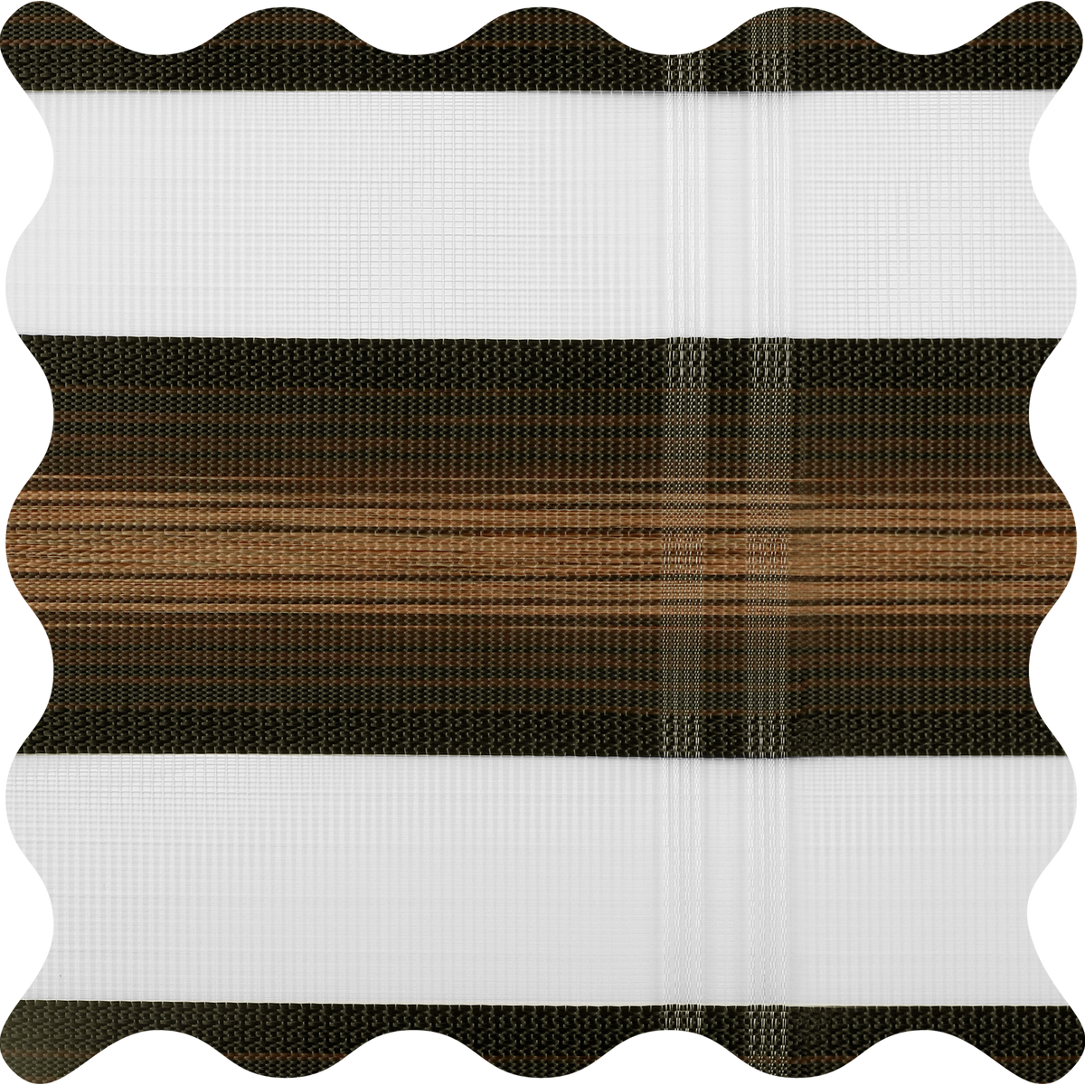 Salem Fireplace Light Filtering Zebra Shade