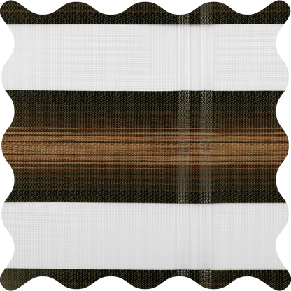 Salem Fireplace Light Filtering Zebra Shade