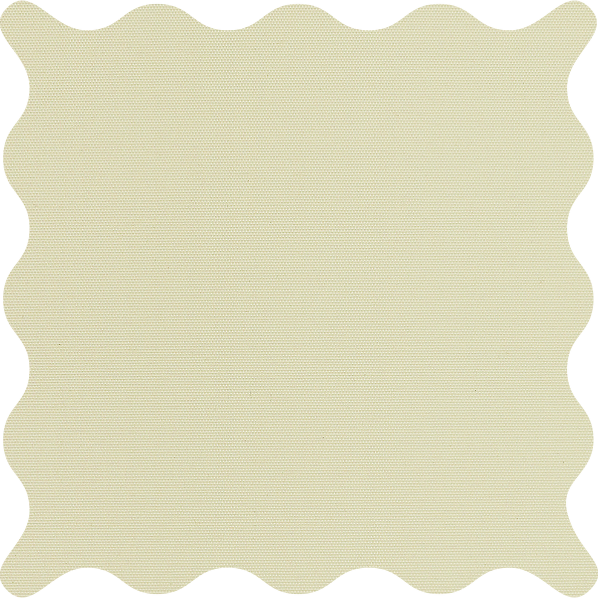 Tam Champagne Light Filtering Roller Shades