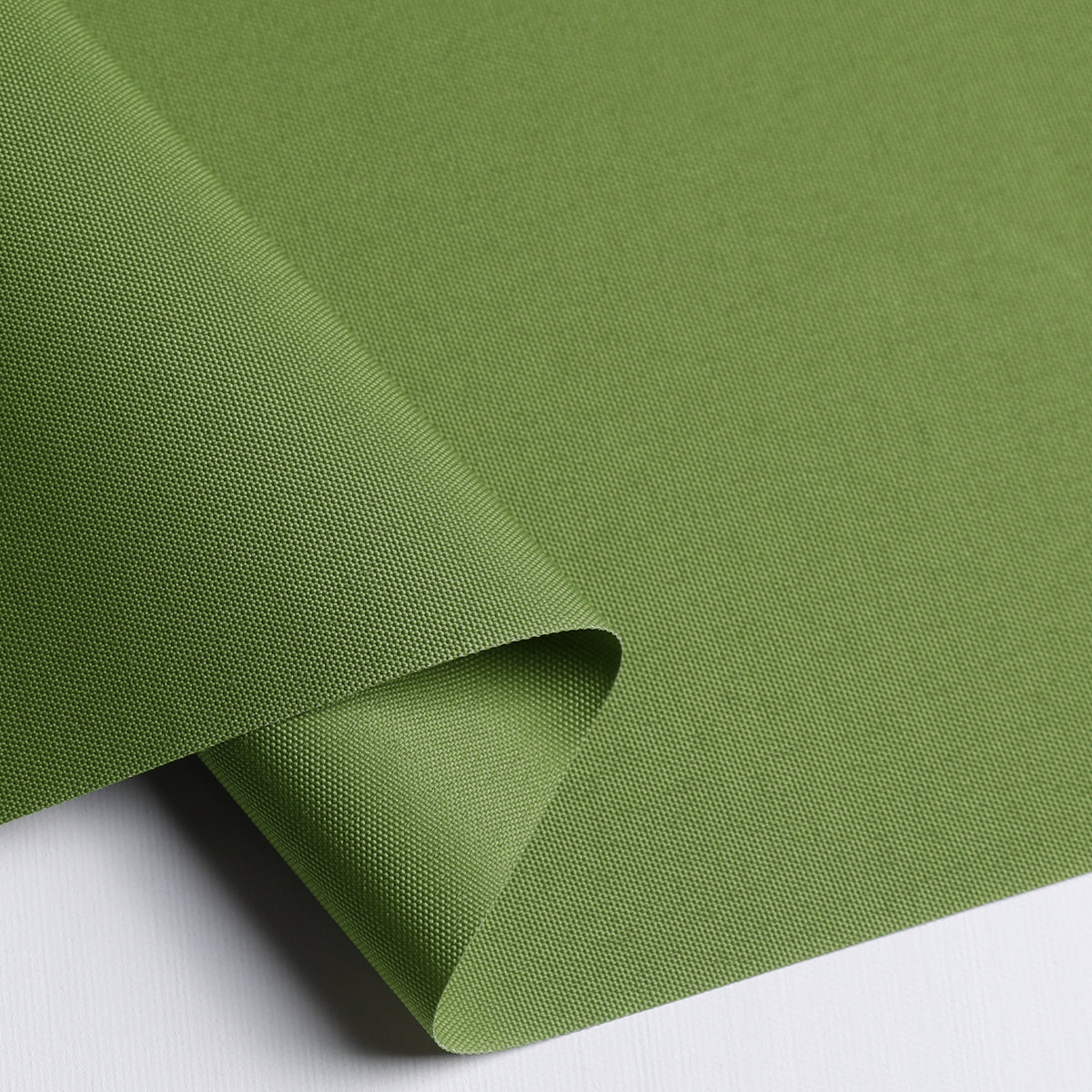 Tam Moss Light Filtering Roller Shades