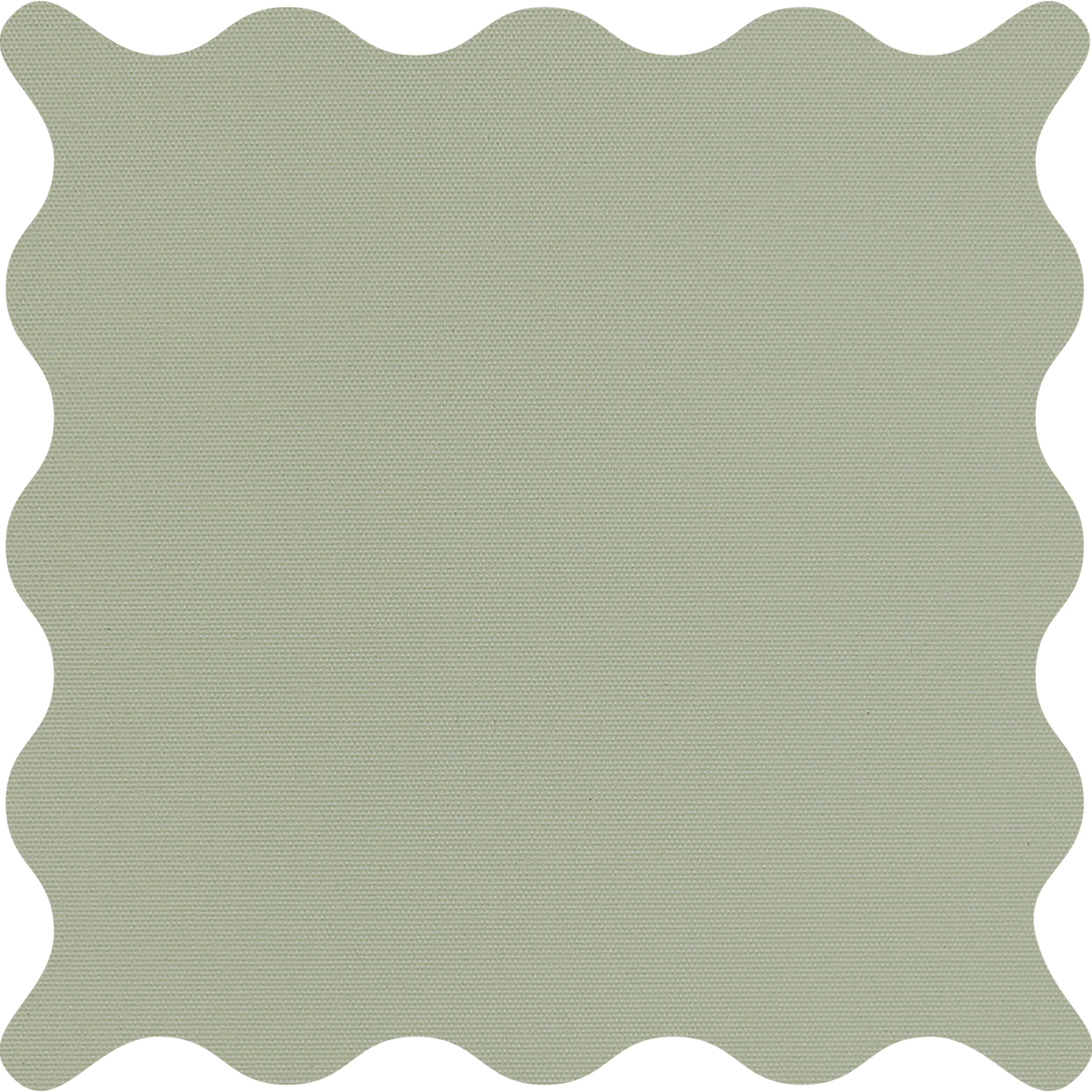 Tam Fir Light Filtering Roller Shades