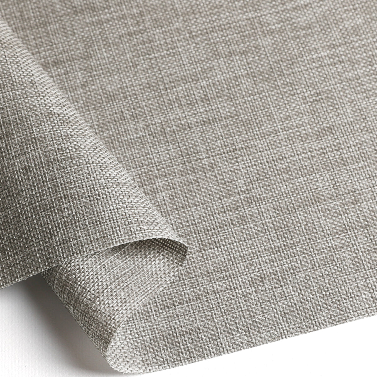 Tamora Birch Light Filtering Roller Shades