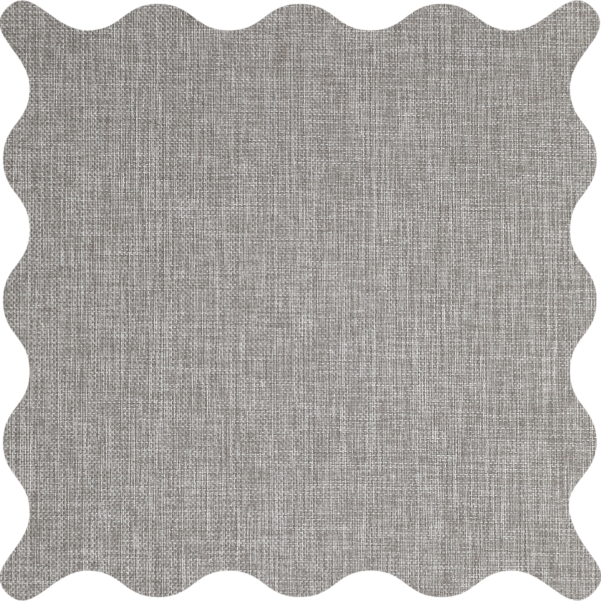 Tamora Birch Light Filtering Roller Shades