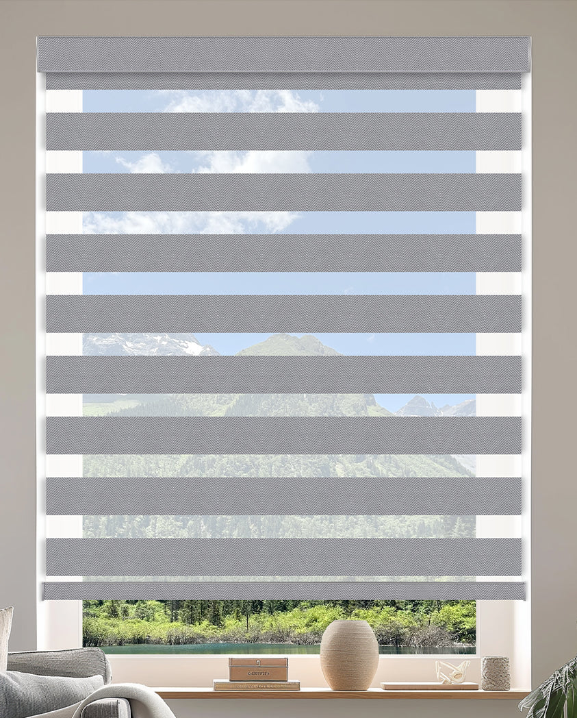 Murree Silver Blackout Zebra Shade
