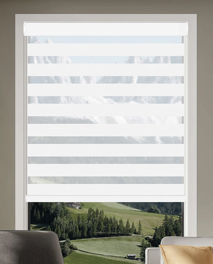Miro Snow Light Filtering Zebra Shade