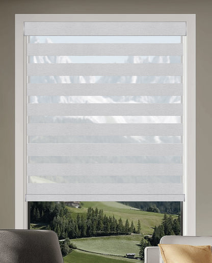 Miro Silver Light Filtering Zebra Shade