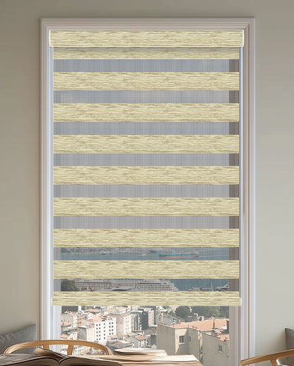 Pollux Champagne Light Filtering Zebra Shade