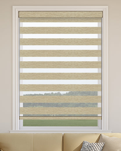 Rasch Sand Light Filtering Zebra Shade