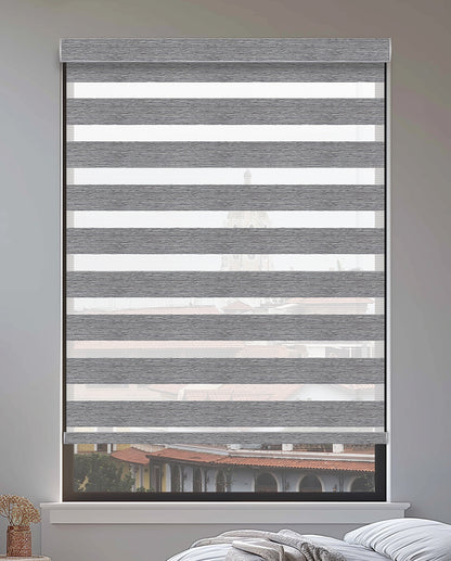 Rosier Steel Light Filtering Zebra Shade