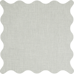 Shelley Mist Flame Retardant