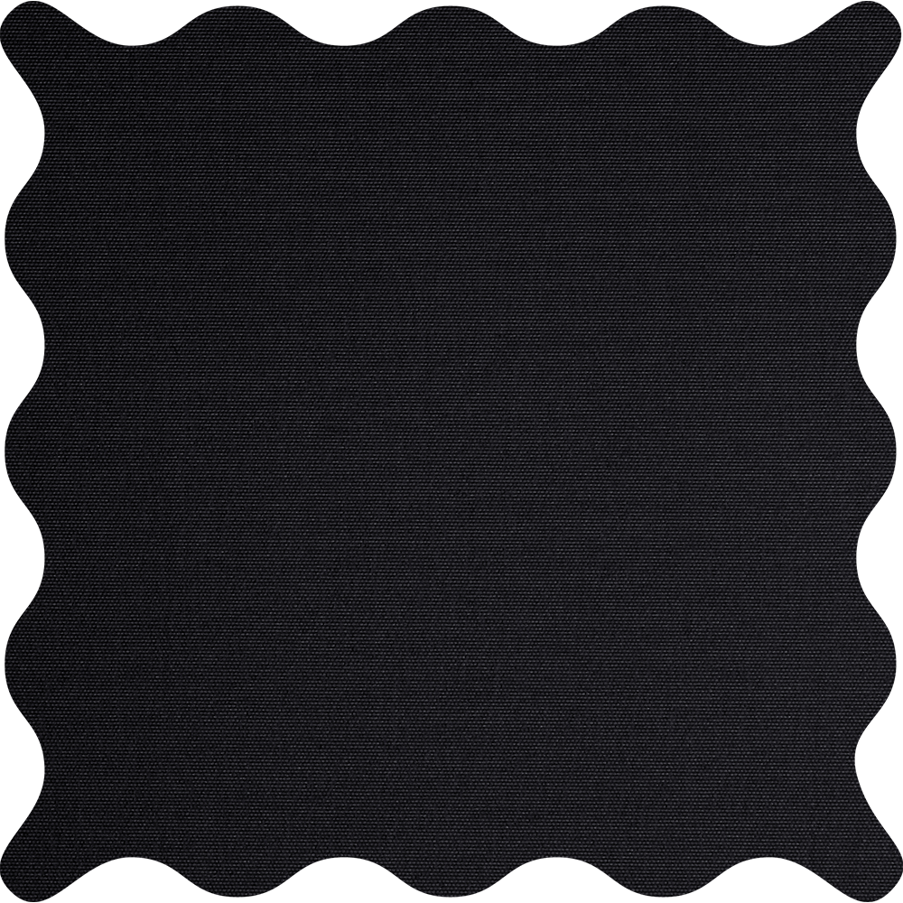 Tam Black Blackout Roller Shades