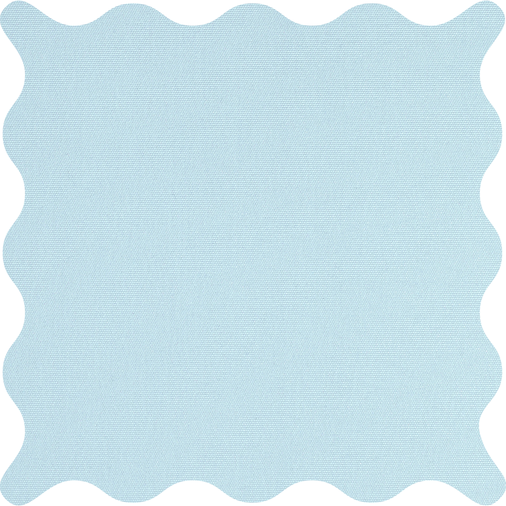 Tam Sky Blackout Roller Shades
