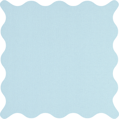 Tam Sky Blackout Roller Shades