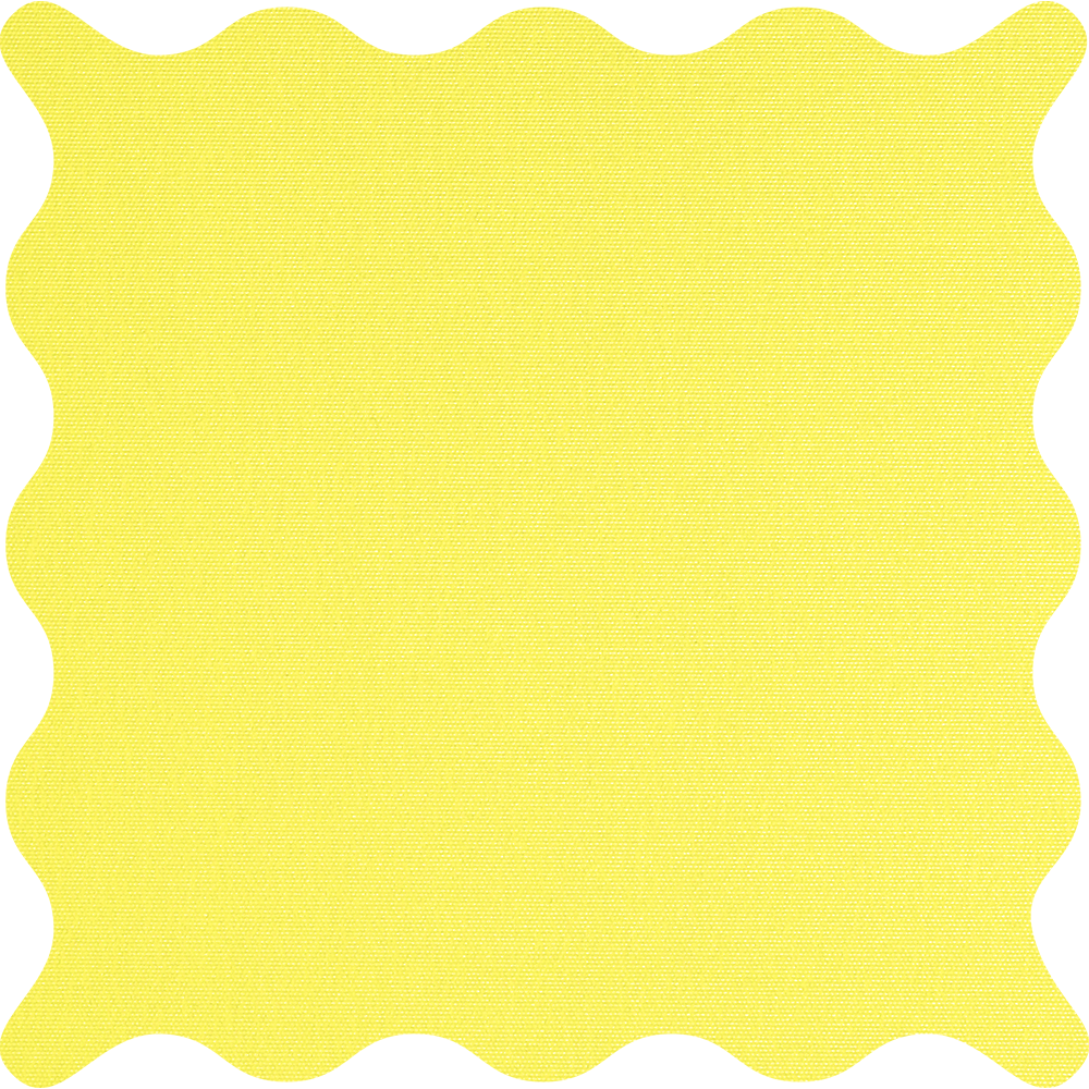 Tam Lemon Blackout Roller Shades