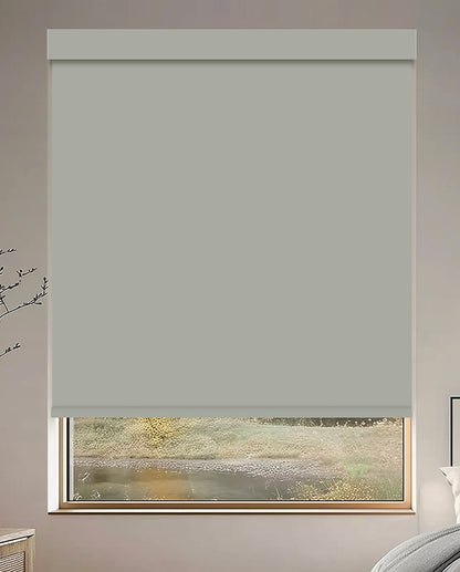 Tam Silver Blackout Roller Shades
