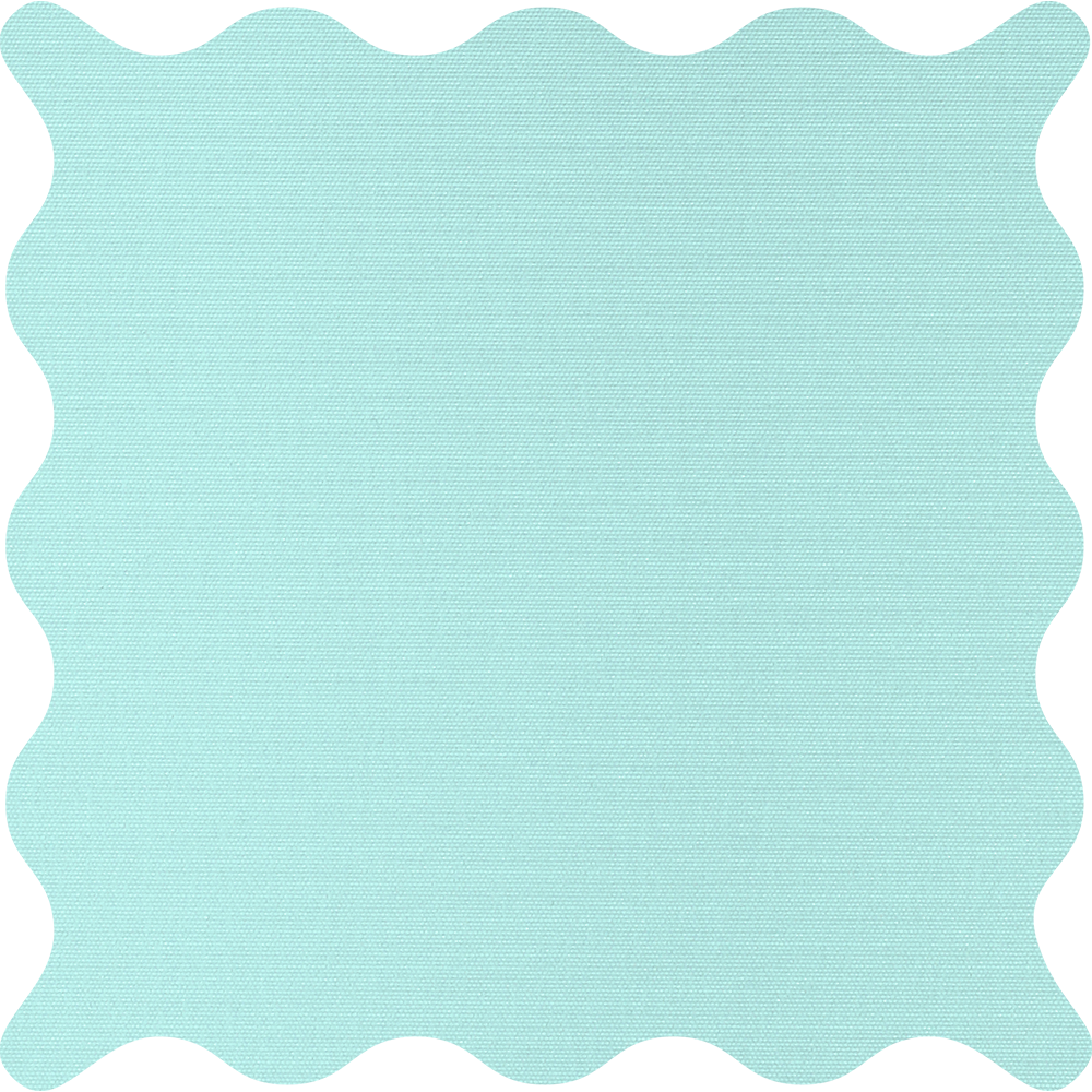 Tam Jade Blackout Roller Shades