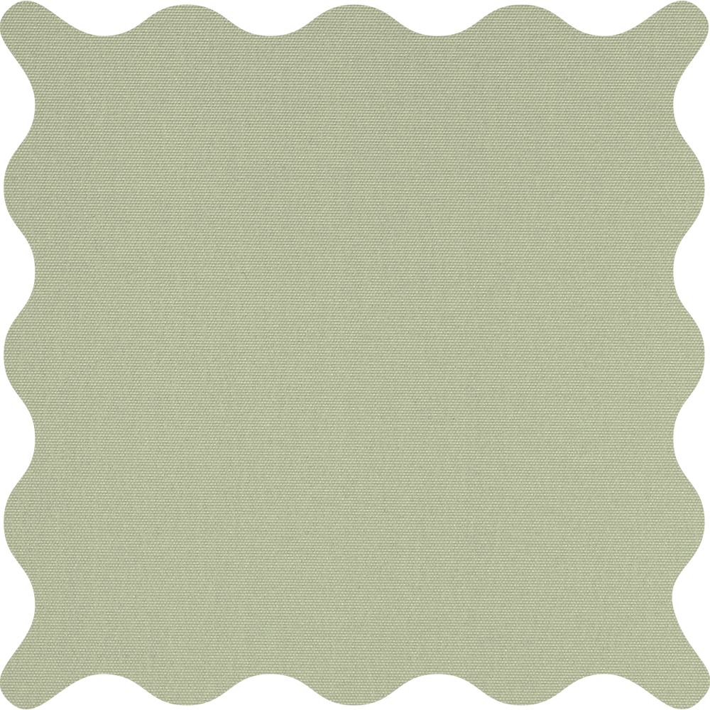 Tam Fir Blackout Roller Shades