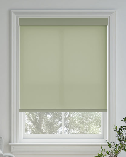Tam Fir Light Filtering Roller Shades