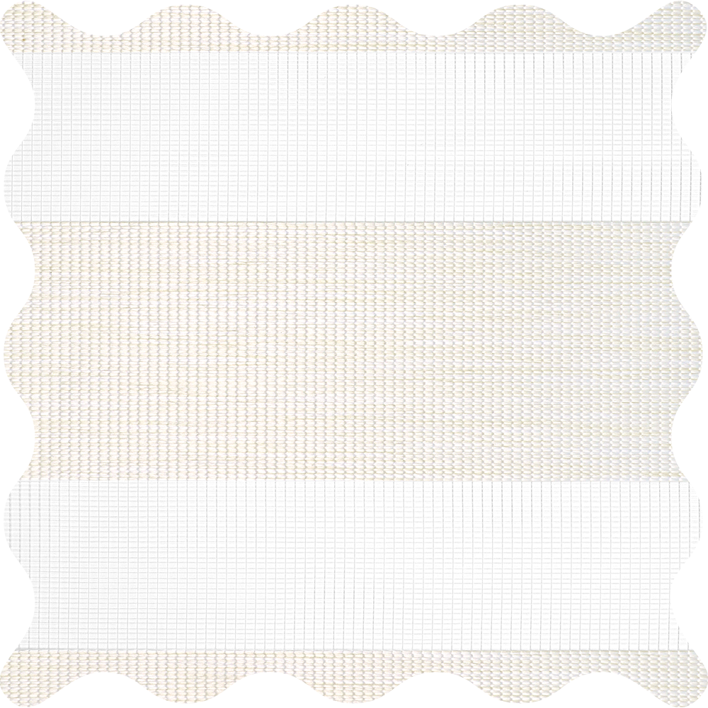 Veneto Coconut Light Filtering Zebra Shade